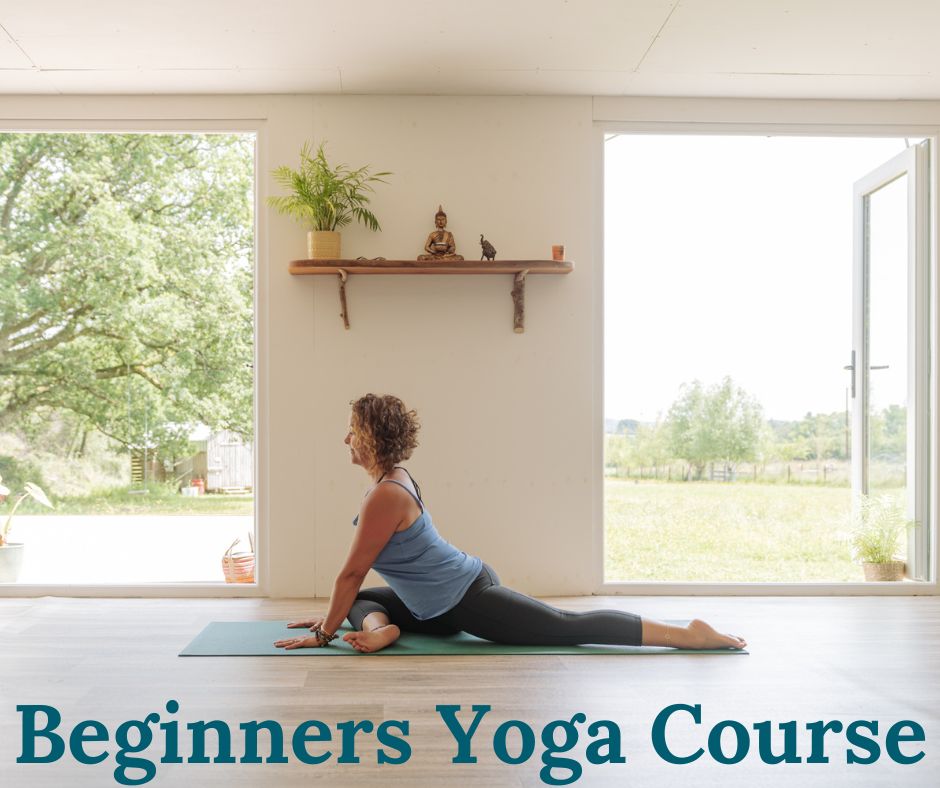 Beginners Yoga Course