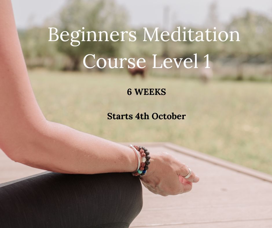 Beginners Meditation Course - Level 1