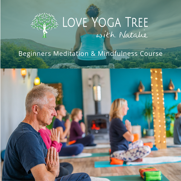 Beginners Meditation & Mindfulness Course