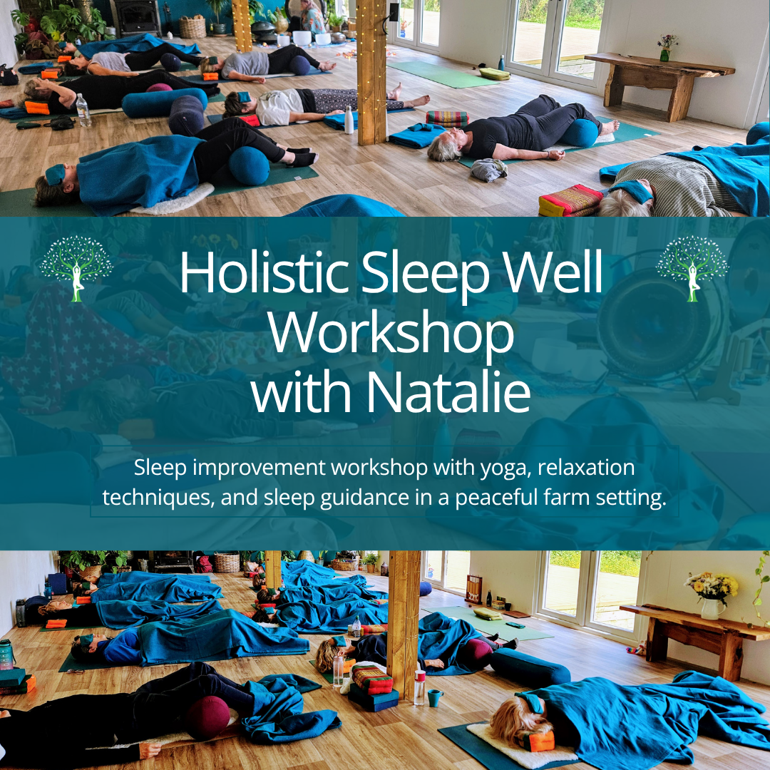 Holistic Sleep Well Workshop